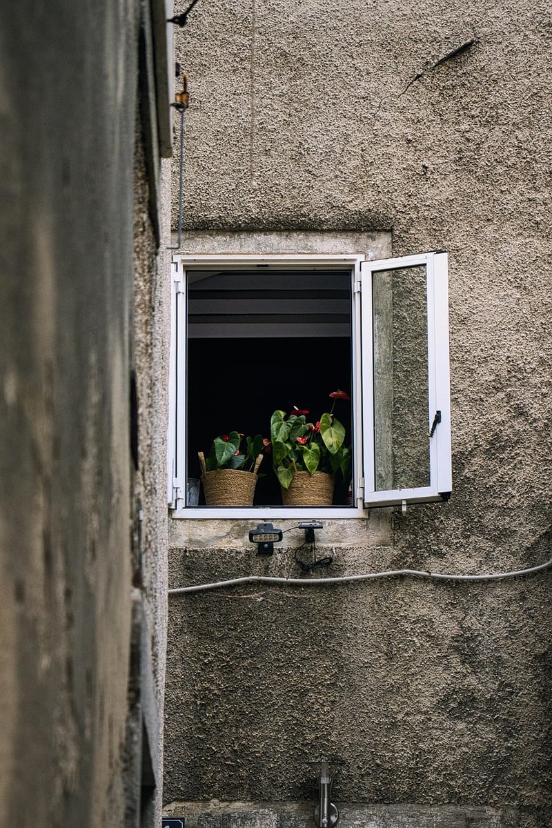 Windowsill Garden